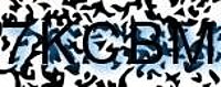 grafischer Sicherheitscode